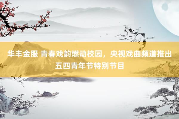 华丰金服 青春戏韵燃动校园，央视戏曲频道推出五四青年节特别节目