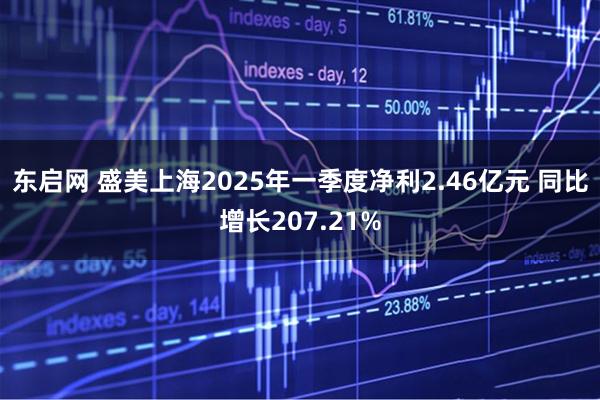 东启网 盛美上海2025年一季度净利2.46亿元 同比增长207.21%