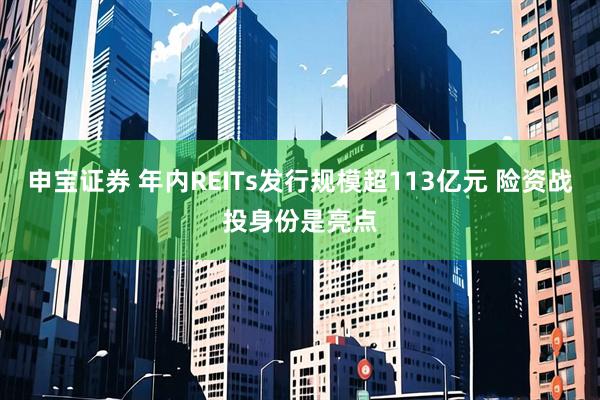 申宝证券 年内REITs发行规模超113亿元 险资战投身份是亮点