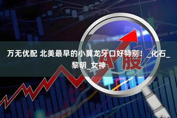 万无优配 北美最早的小翼龙牙口好特别！_化石_黎明_女神