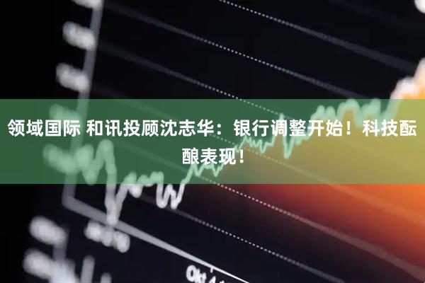 领域国际 和讯投顾沈志华：银行调整开始！科技酝酿表现！