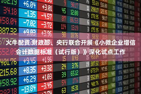 火牛配资 财政部、央行联合开展《小微企业增信会计数据标准（试行版）》深化试点工作