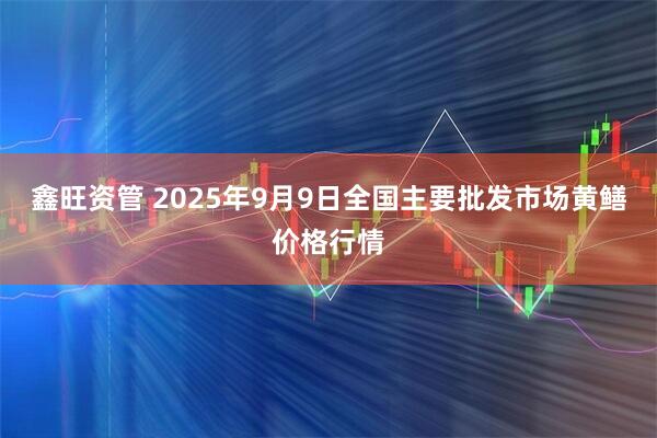 鑫旺资管 2025年9月9日全国主要批发市场黄鳝价格行情
