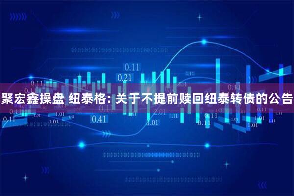聚宏鑫操盘 纽泰格: 关于不提前赎回纽泰转债的公告