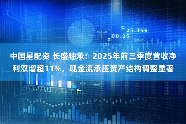 中国星配资 长盛轴承:2025年前三季度营收净利双增超11%,现金流承压资产结构调整显著
